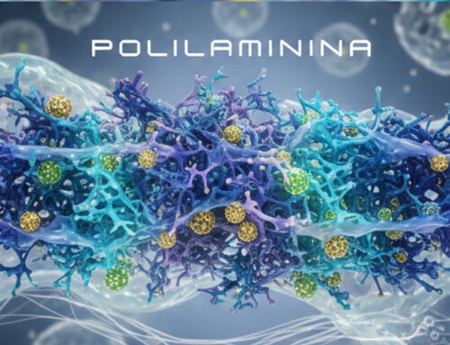 Polilaminina: entre o clamor midiático e a realidade científica